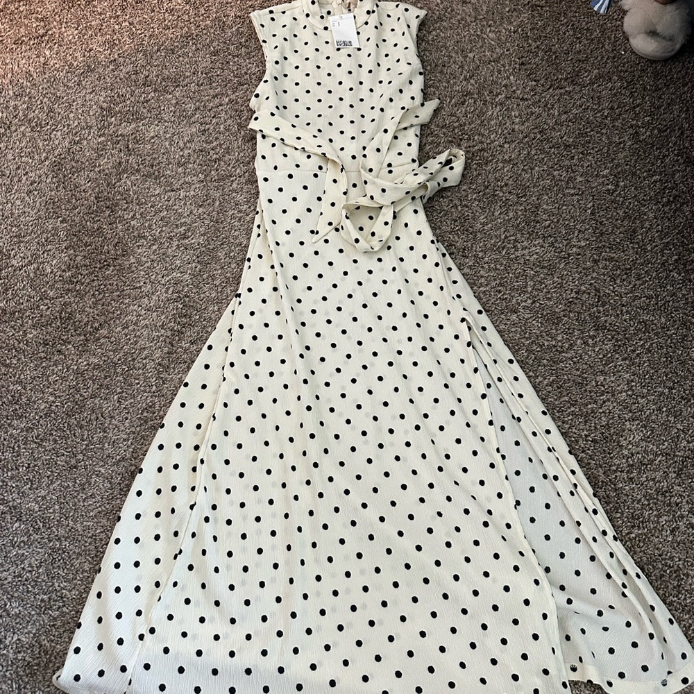 NWT H&M Polka Dot Midi Dress